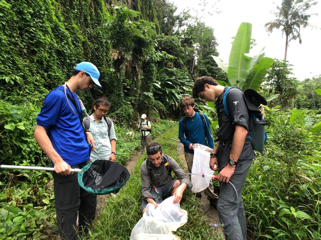 Students participate in research on the island of Dominica.